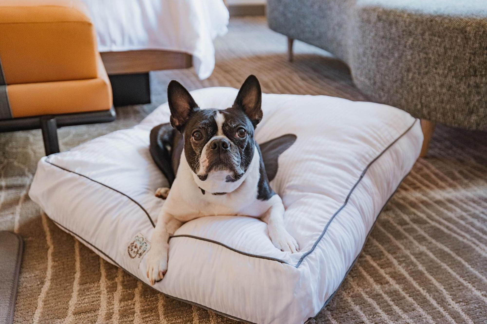 The Westin Book Cadillac Detroit Bagian luar foto